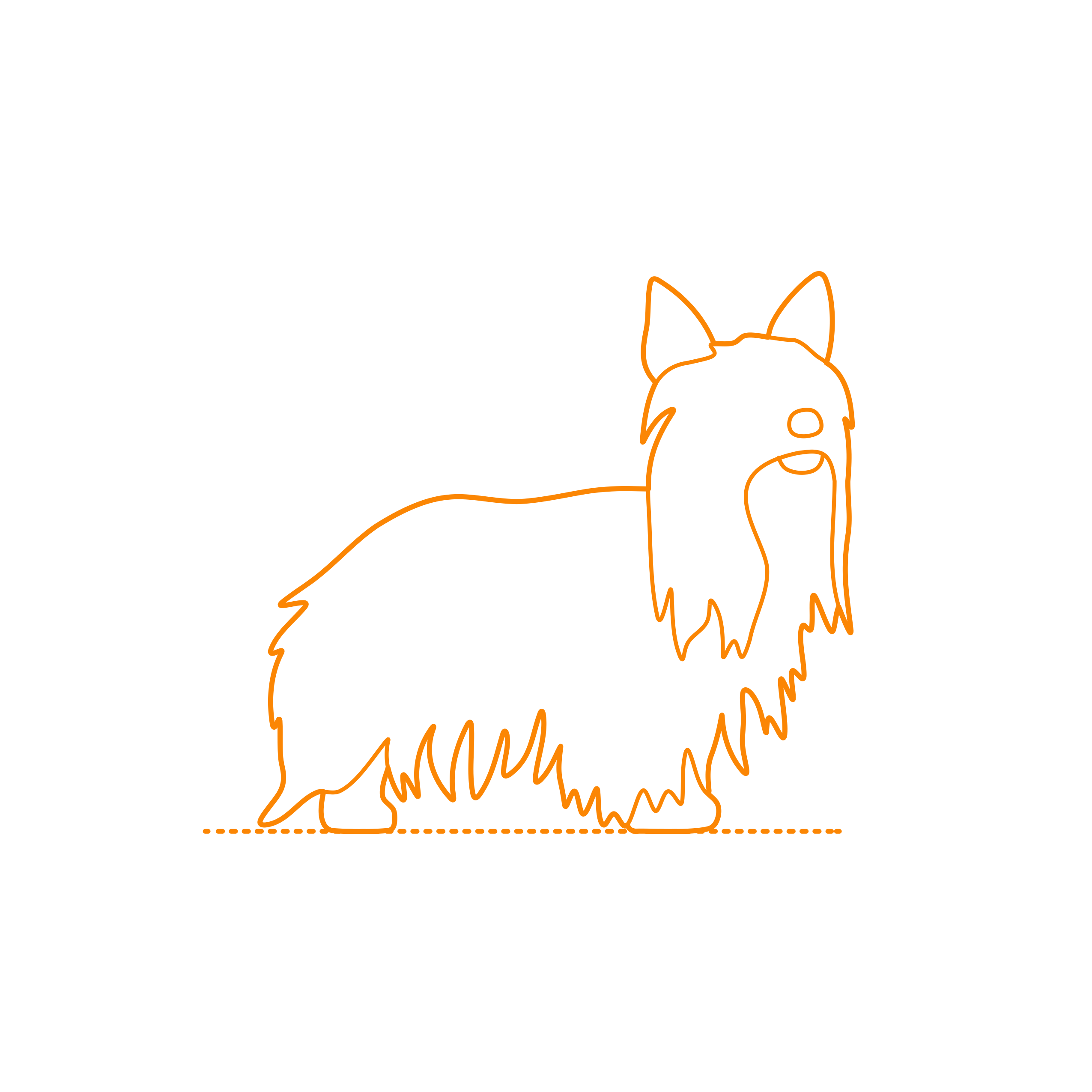 Animals Dogs Yorkshire Terrier Stencil Svg Vector Free Vectors